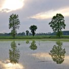 Reflections