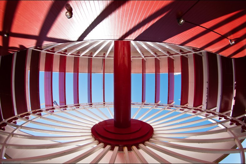 Colorado Belle Wheel