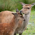 Mother and child