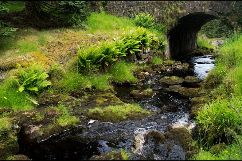 Stream and Stone Bridge, County Antrim, Northern Ireland