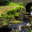 Stream and Stone Bridge, County Antrim, Northern Ireland