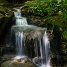 Green Mountain Creek