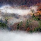 Misty moments