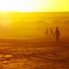 Following sun