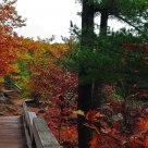 Fall in Gatineau Park