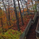 Fall in Gatineau Park