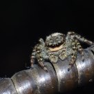 What's down there?