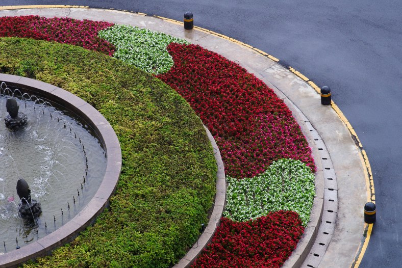 Fountain Flowers