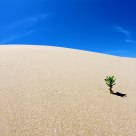 LONELINESS