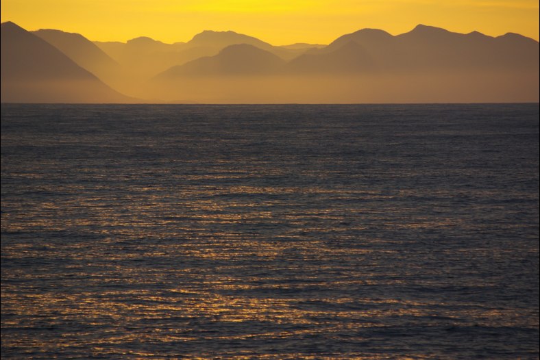 Golden Light