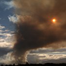 Cane Fire