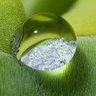 Water Droplet