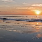 Pelicans At Sunrise