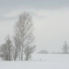 Russian Winter