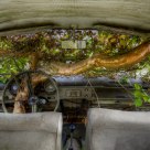 Steering lock