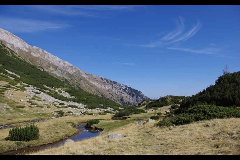 Pirin