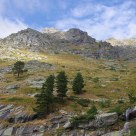 Rila national park