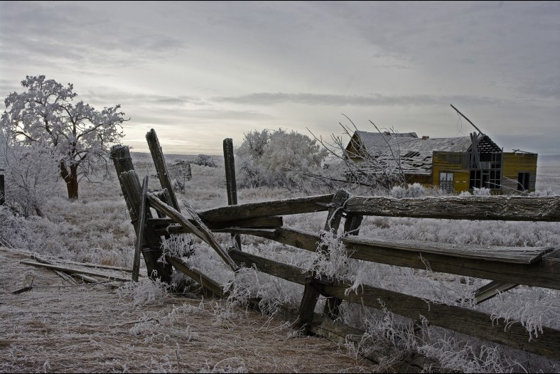A little frosty 
