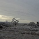 12 Degrees