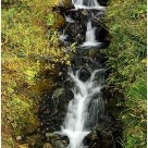 'Denali Falls Pano' - vertical pano