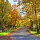 Country Road in Autumn