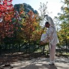 Taichi (Shadowboxing)