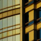 Golden Facade