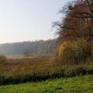 In the field