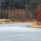 Memory of the autumn