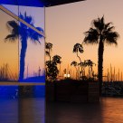 Reflejos