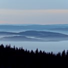 Autumn with fog