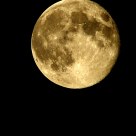 For the moon never beams without bringing me dreams..