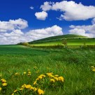 English Countryside