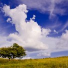 Uffington Hill