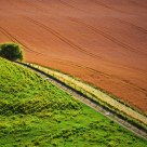 The Access Road