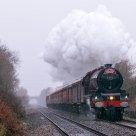 Farewell Lizzie