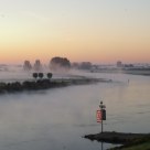 Morning at dieren