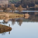 The angler
