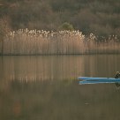 The rower