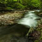 Appalachian Stream