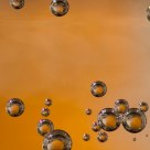 Bulles de Tonic