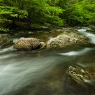 Laurel Creek