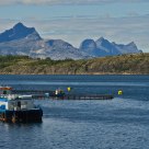 Fish farming in northern Norway