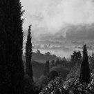 brumes