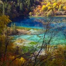Dream color in the lake