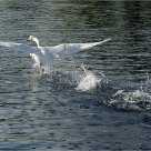 'Ready for Takeoff'
