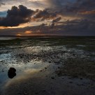 Wellington Point