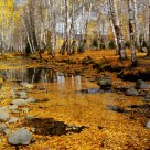 Fall