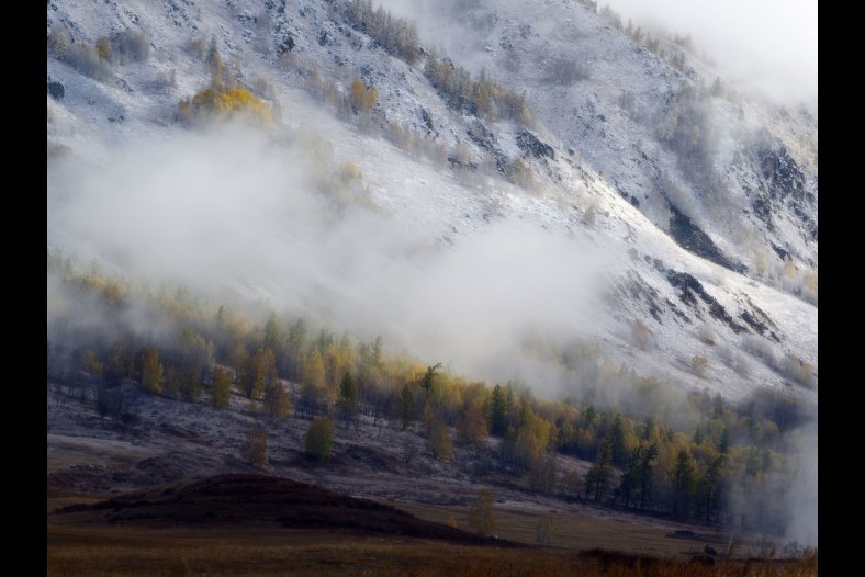 Misty morning