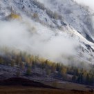 Misty morning